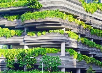 gray concrete building covered trees